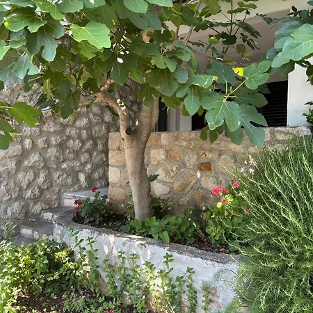 Mara Maison d'hôtes