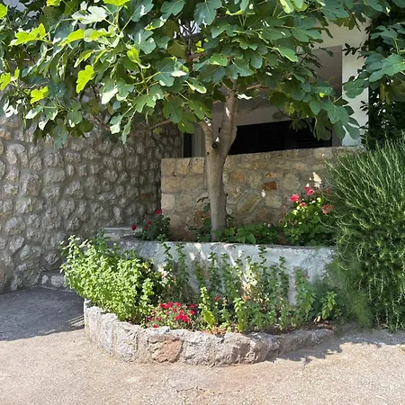 Mara Gasthuis Novi Vinodolski